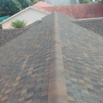 Dimensional Shingle finished