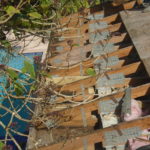 Decking repairs after tile roof removal